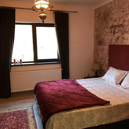 Casa Mountain View Villa Braşov