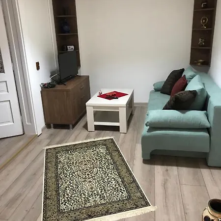 Casa Mountain View * Brasov