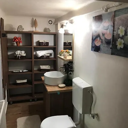 Casa Mountain View Braşov