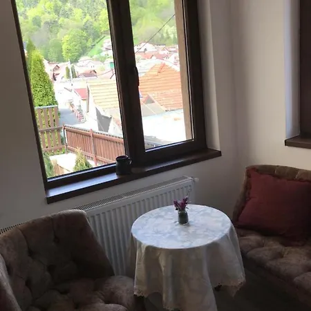Casa Mountain View * Braşov