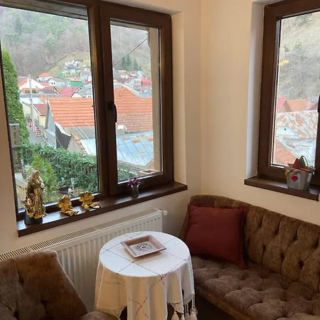 Casa Mountain View * Braşov