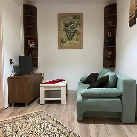 Casa Mountain View Braşov