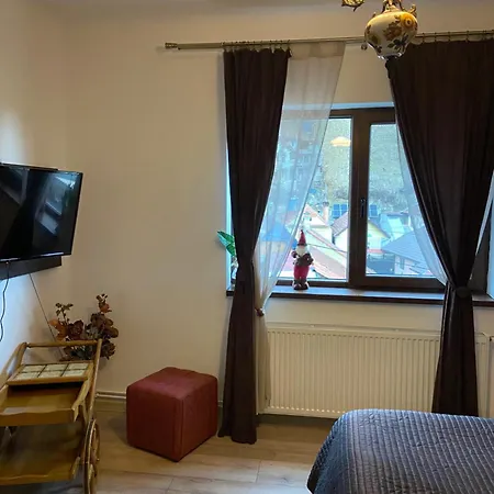 Casa Mountain View * Braşov