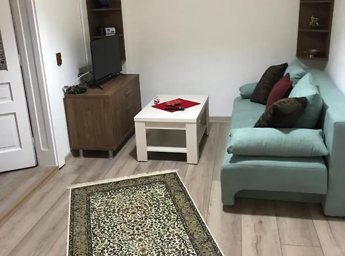 Casa Mountain View * Braşov