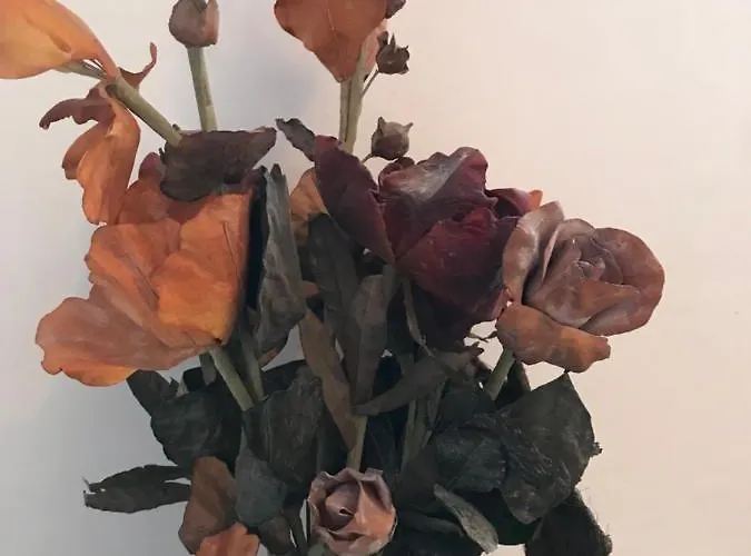 Casa Mountain View *