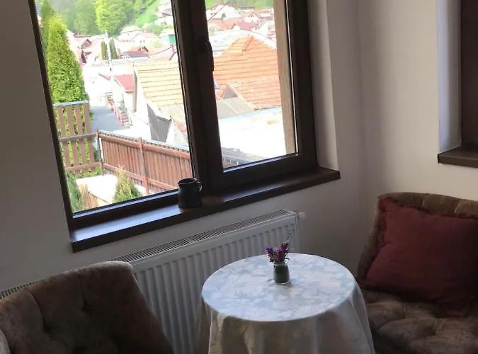 Casa Mountain View * Braşov