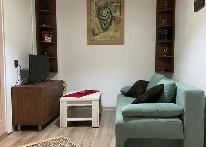 Casa Mountain View Braşov