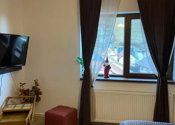 Casa Mountain View * Brasov